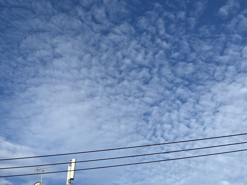 青島健太ブログ_東京・港区の鱗雲