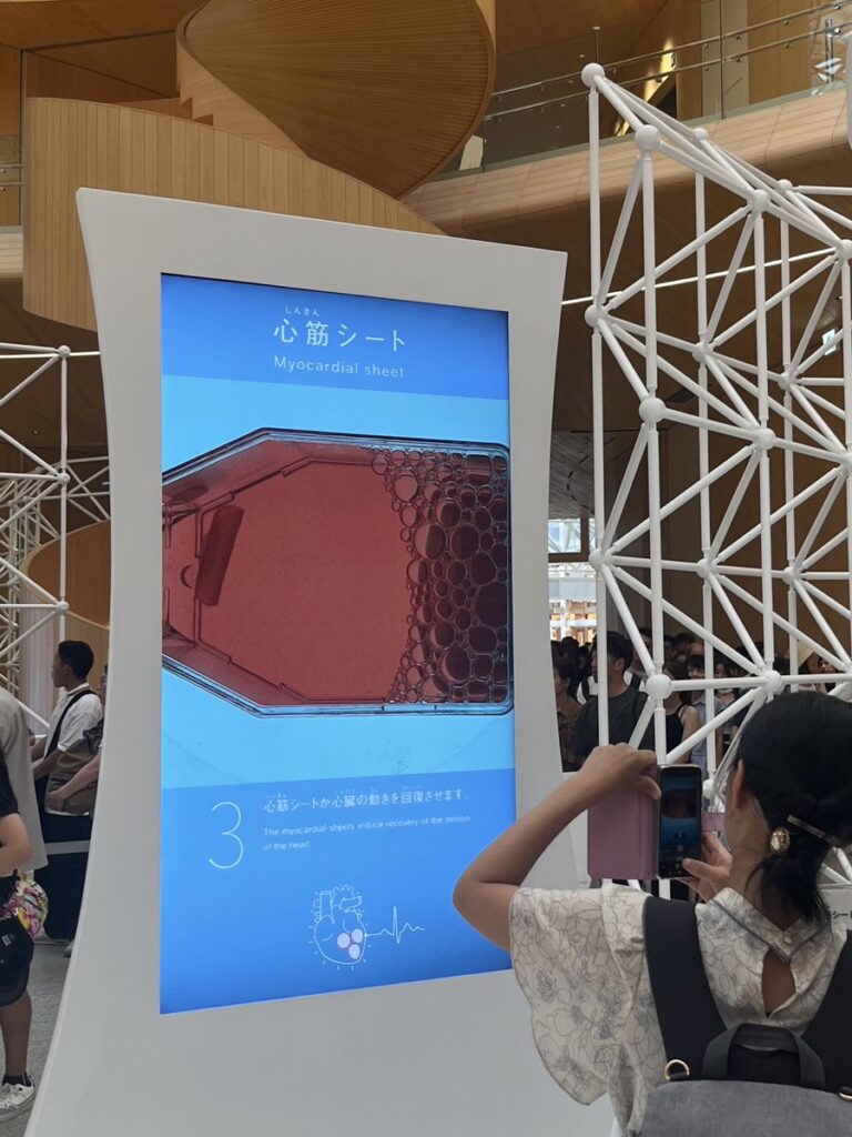 青島健太公式ブログ_20250819_160930_02