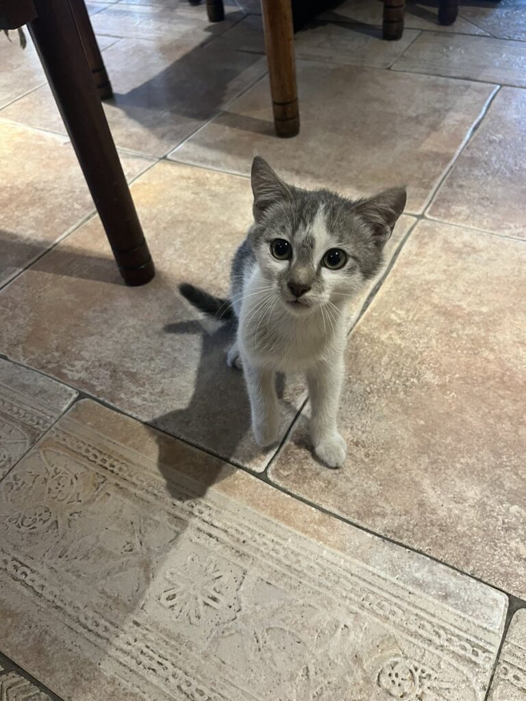 青島健太公式ブログ_20260121_125914_02