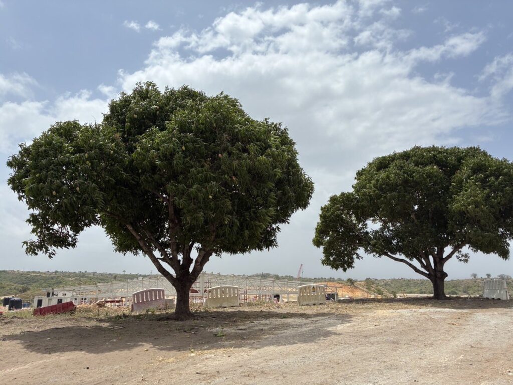 青島健太公式ブログ_20260121_125914_04