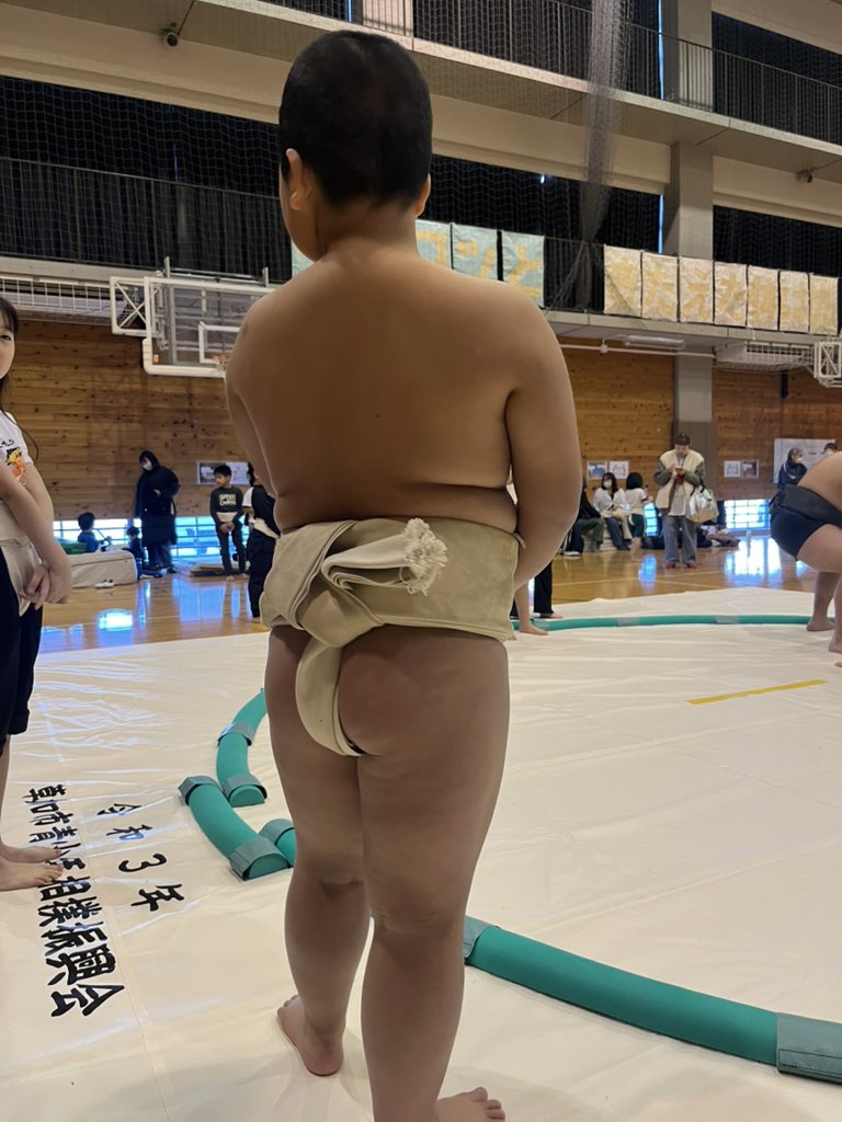 青島健太公式ブログ_20260221_sumo2